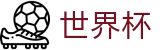 国际足联世界杯WorldCup · 官方登录入口